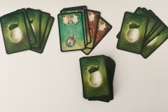 „Chickwood Forest“ vom Zoch Verlag