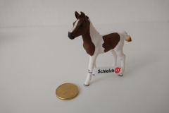 Über Stock und Stein Schmidt Spiele