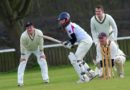 Cricket