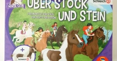 Über Stock und Stein Schmidt Spiele