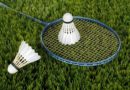 Federball Spielregeln