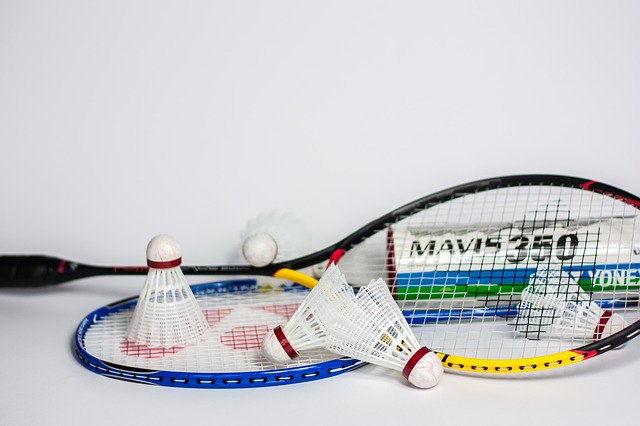 Badminton Spielregeln