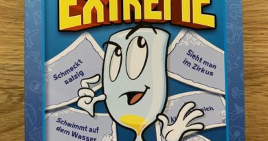 stadt land fluss extreme schmidt spiele