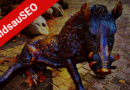 WildsauSEO 2019