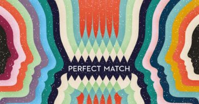 Perfect Match von Schmidt Spiele