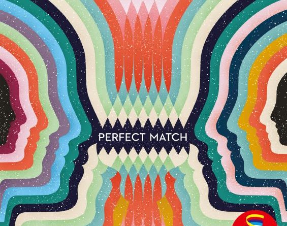 Perfect Match von Schmidt Spiele