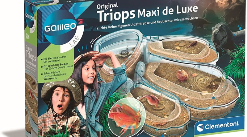 Triopse züchten - Clementoni 59246 Galileo Lab – Original Triops Maxi de Luxe